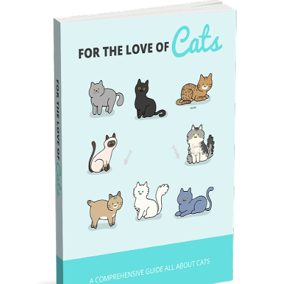 For The Love Of Cat
